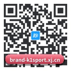 iPhone 与 iPad 专享端 二维码